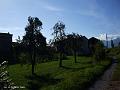 prati a Lauco